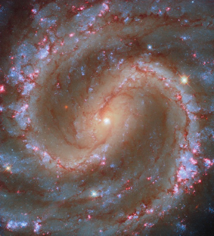 Спиральная галактика NGC 4535, замеченная телескопом «Хаббл», оказалась тради | Про космос