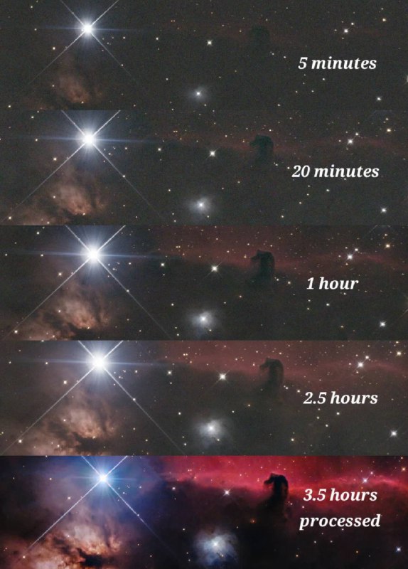 🌌 Туманность Пламя и Конская Голова в созвездии Ориона запечатлены с разной э | Про космос