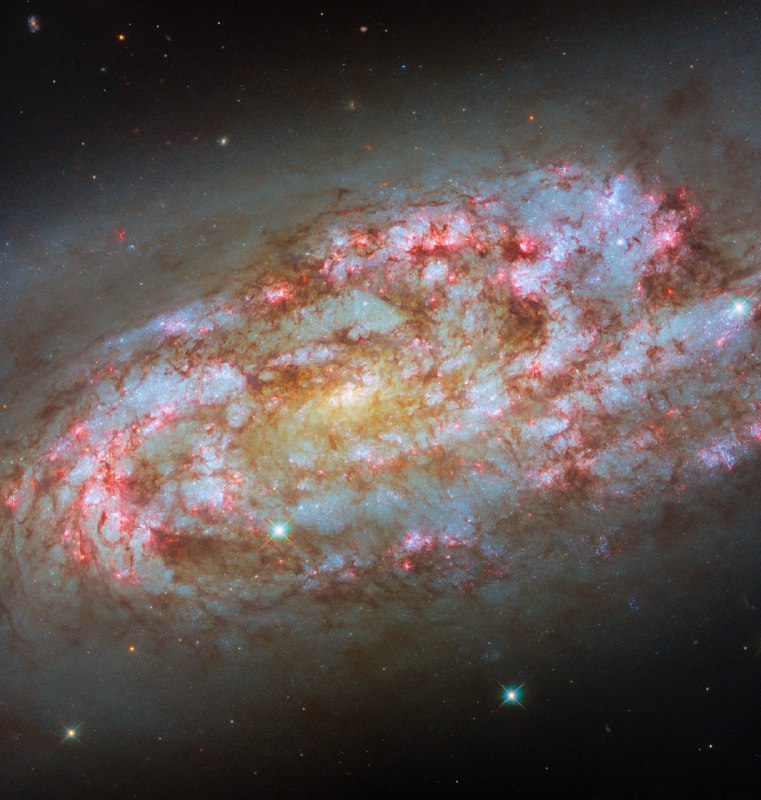 Представляем фото понедельника от космического телескопа Хаббл! 🌌 | Про космос