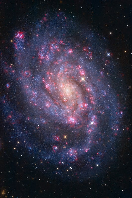 ✨ Огромное количество звёзд в далёкой галактике NGC 300 | Про космос