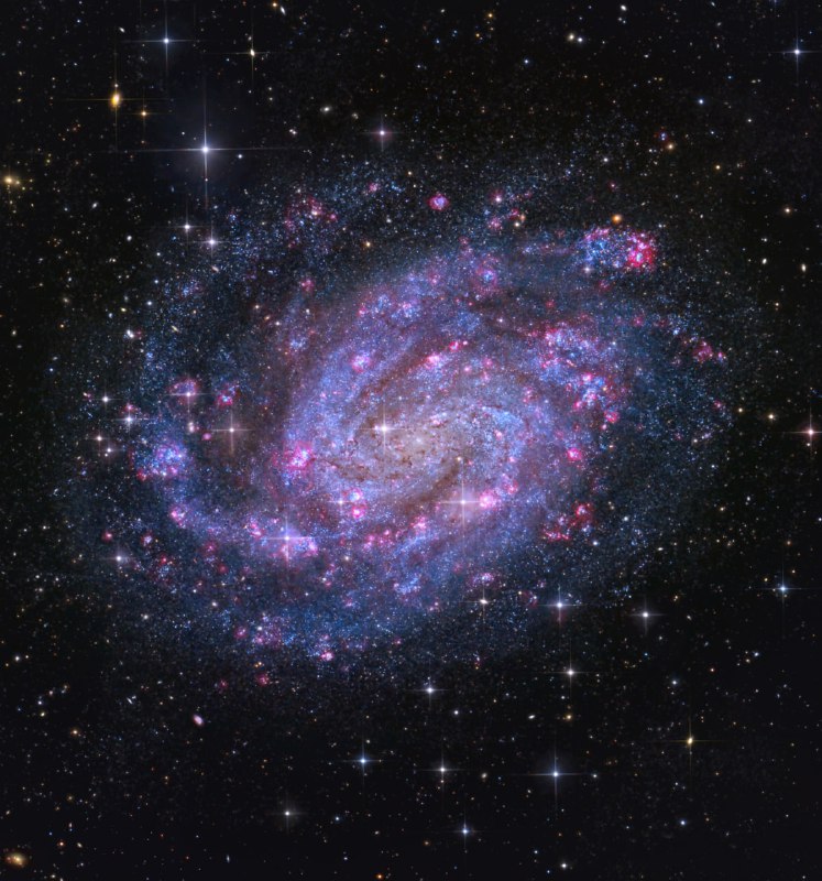 ✨ Огромное количество звёзд в далёкой галактике NGC 300 | Про космос