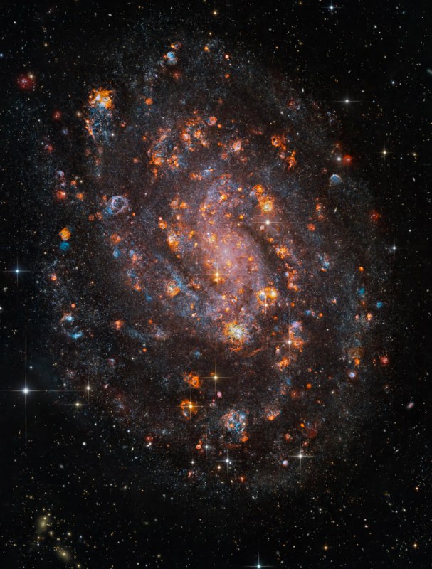 ✨ Огромное количество звёзд в далёкой галактике NGC 300 | Про космос