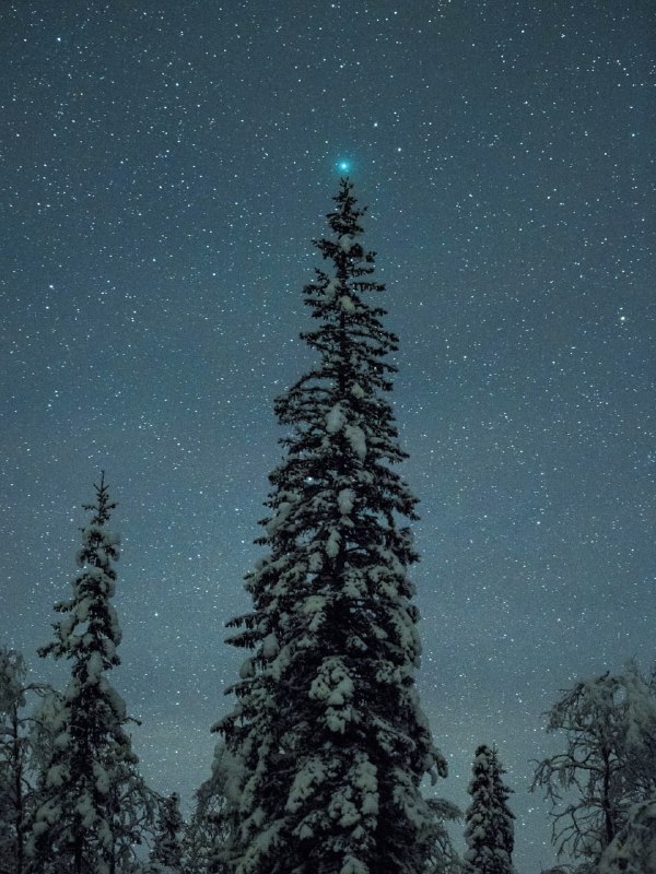 Рождественская елка с кометой 46P/Wirtanen на вершине. ✨ | Про космос