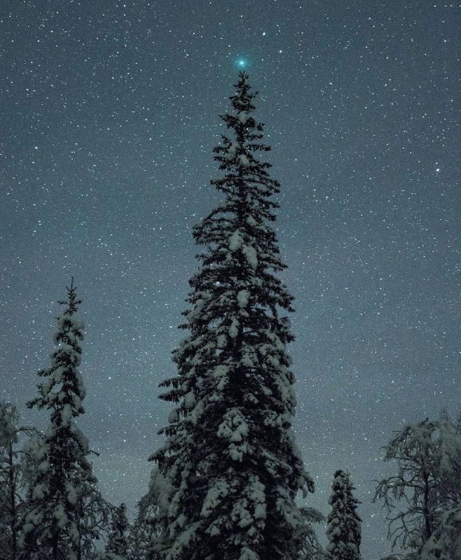 Новогодние звезды: | Про космос