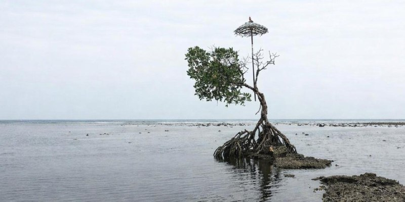 Каждый день уровень воды в океанах меняется: то отступает, то возвращается. Э | Про космос
