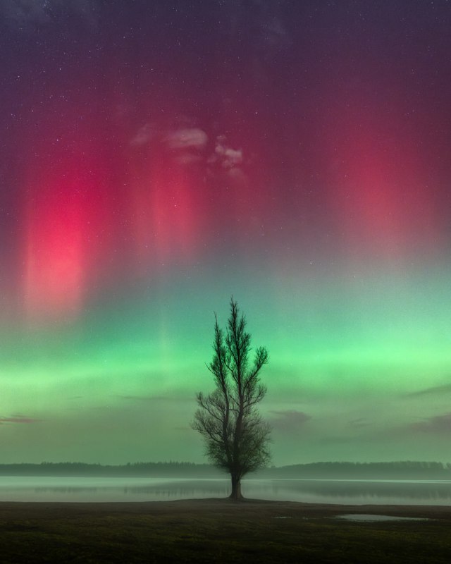 Смотрим новые фотографии Полярного сияния от фотографов со всего мира. ✨🌌 | Про космос