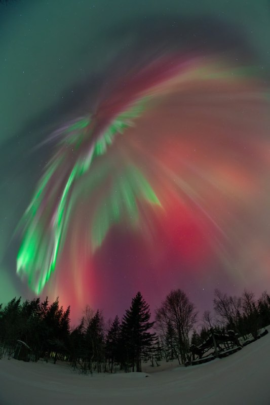 Смотрим новые фотографии Полярного сияния от фотографов со всего мира. ✨🌌 | Про космос