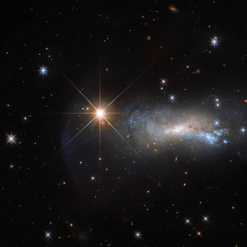 Звезда Лацерта, также известная как TYC 3203 450 1, появилась на фото, сделан | Про космос