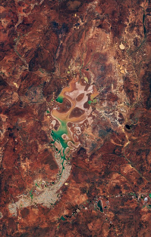 Озеро Карнеги с высоты спутника Sentinel-2 🌍 | Про космос