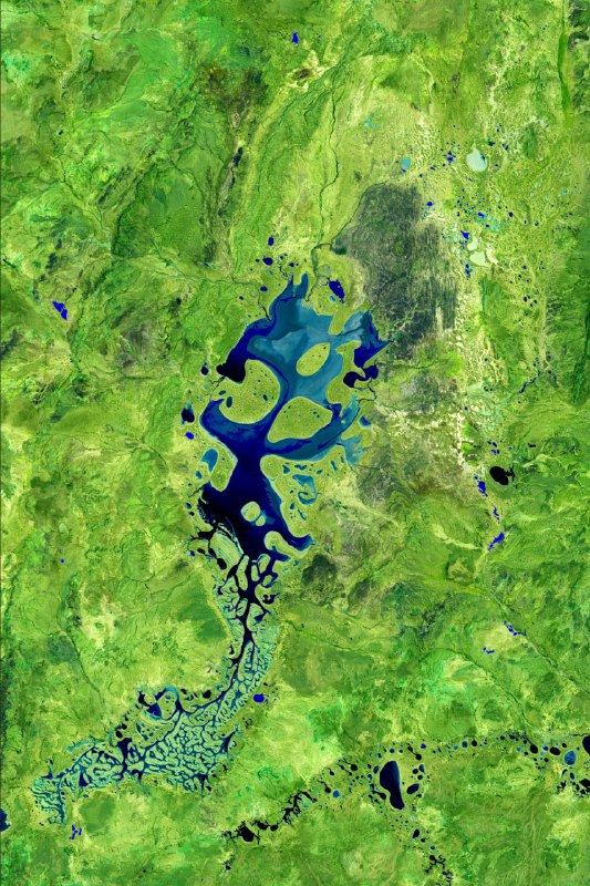 Озеро Карнеги с высоты спутника Sentinel-2 🌍 | Про космос
