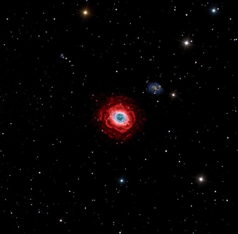 🌌 Космическая роза — это туманность Мессье 57, или туманность Кольцо. Цвета э | Про космос