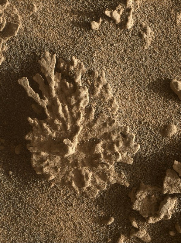 На Марсе марсоход Curiosity сфотографировал необычный камень, похожий на кусо | Про космос