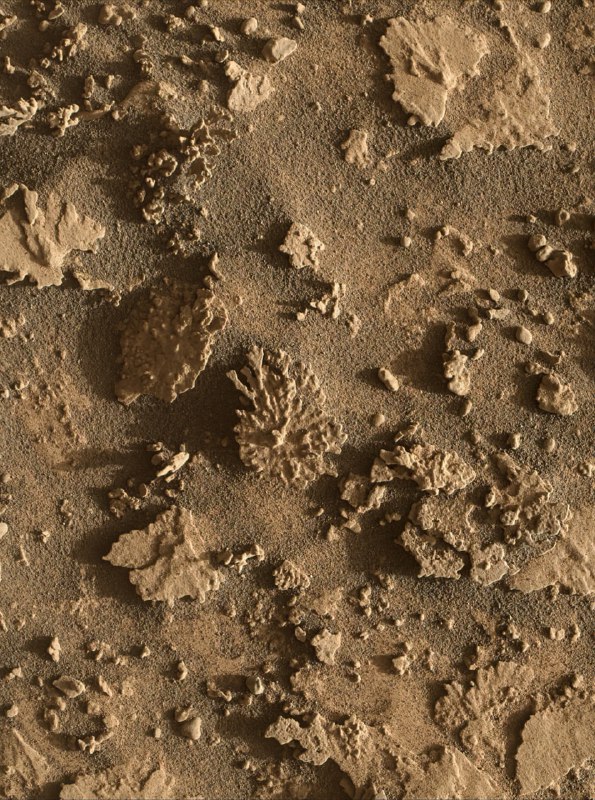 На Марсе марсоход Curiosity сфотографировал необычный камень, похожий на кусо | Про космос