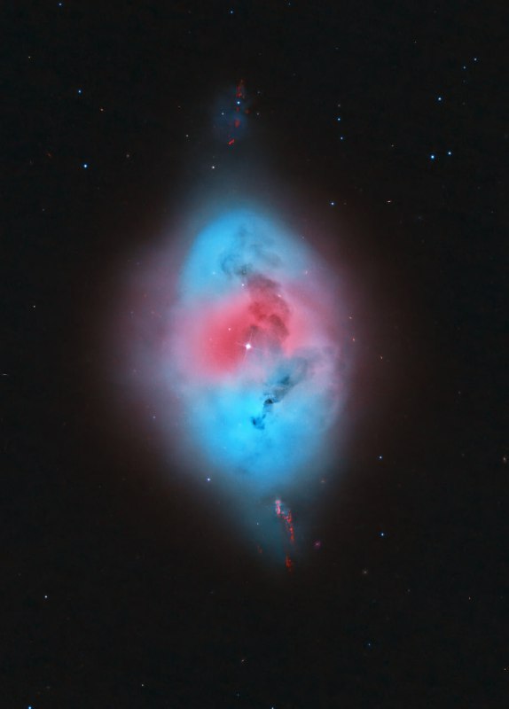 Планетарная туманность NGC 1360, известная как «Яйцо Дрозда», расположена в с | Про космос