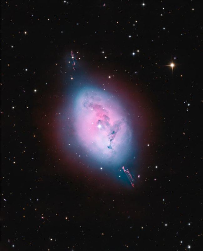 Планетарная туманность NGC 1360, известная как «Яйцо Дрозда», расположена в с | Про космос