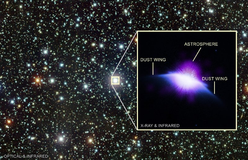 Космическая обсерватория Chandra впервые запечатлела астросферу вокруг звезды | Про космос