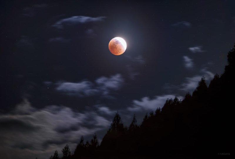 🌕 Наслаждаемся снимками вчерашнего лунного затмения | Про космос