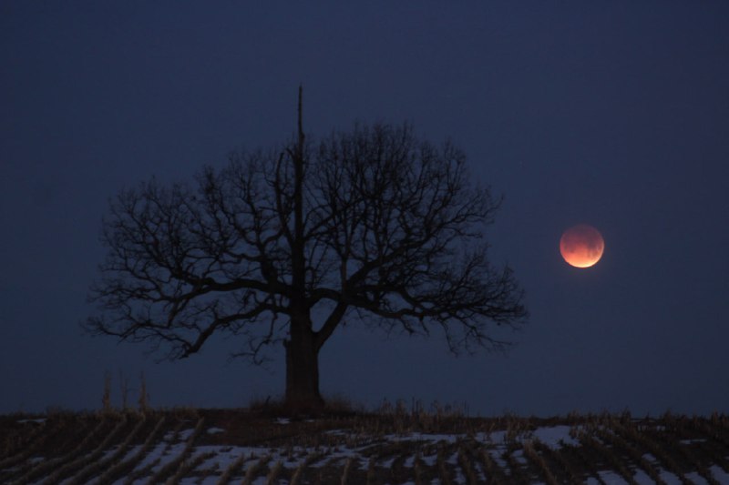 🌕 Наслаждаемся снимками вчерашнего лунного затмения | Про космос