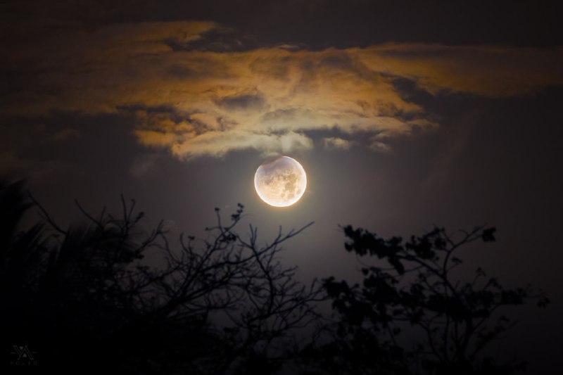 🌕 Наслаждаемся снимками вчерашнего лунного затмения | Про космос