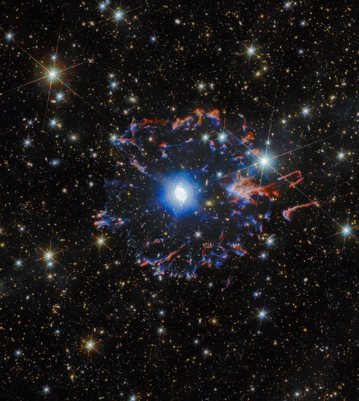 Недавние изображения туманности Кошачий глаз (NGC 6543), сделанные телескопам | Про космос