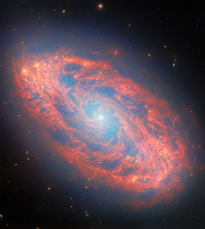 Галактика NGC 5134 — это красивая спиральная галактика, расположенная в созве | Про космос