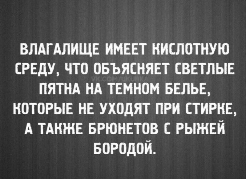 Брюнеты с рыжей бородой 🤝 | Пошлые тексты